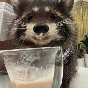 Meet your Posher, Alondra